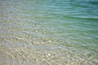 Similar image 195464