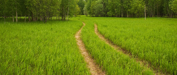 Similar image 195474