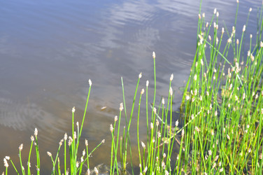 Similar image 195483