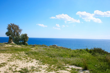 Similar image 195497