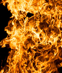 Similar image 195511