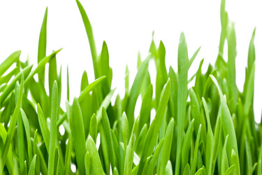 Similar image 195513