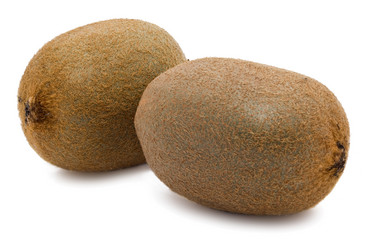 Similar image 195526