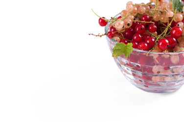 Similar image 195531