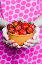 Similar image 195536