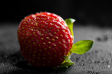 Similar image 195537