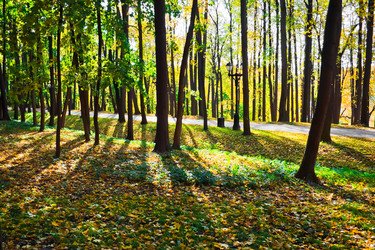 Similar image 195575