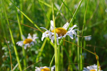 Similar image 195577