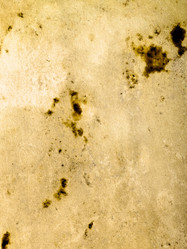 Similar image 195606