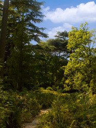 Similar image 195609