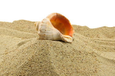 Similar image 195618