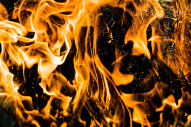 Similar image 195647