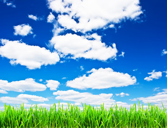 Similar image 195649