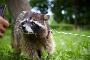 Similar image 195650