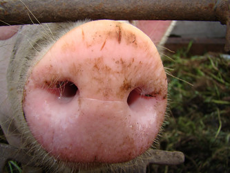 Similar image 195657