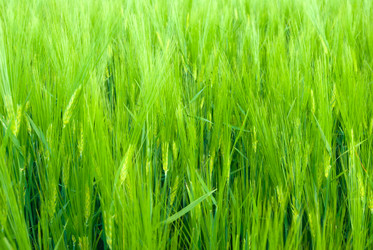 Similar image 195683