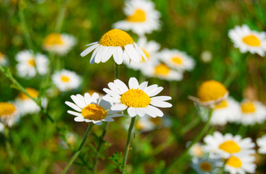 Similar image 195685