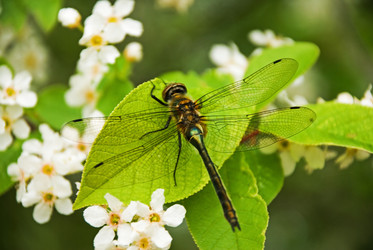 Similar image 195689