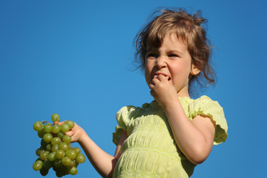 Similar image 195705