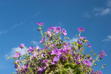 Similar image 195744