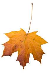 Similar image 195764