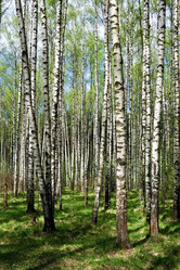 Similar image 195765