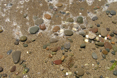 Similar image 195779