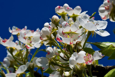 Similar image 195787