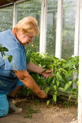 Similar image 195847