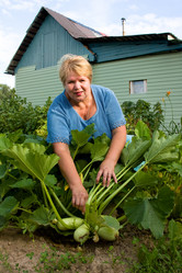 Similar image 195848