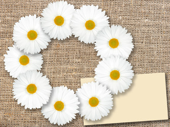 Similar image 195932