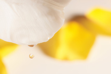 Similar image 195943