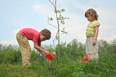 Similar image 195976