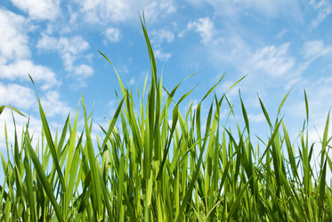 Similar image 195982