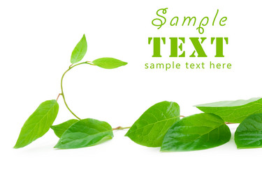 Similar image 195991