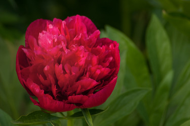 Similar image 196043