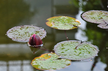 Similar image 196092