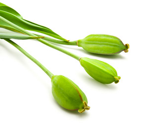 Similar image 196093