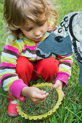 Similar image 196139