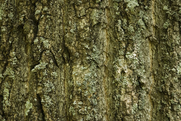 Similar image 196143