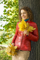 Similar image 196156