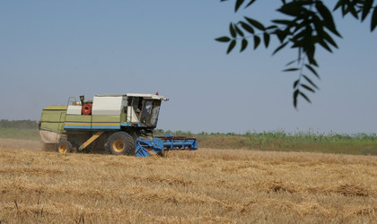 Similar image 196157