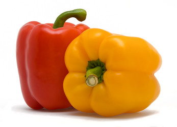 Similar image 196166