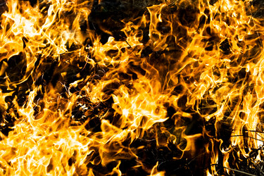 Similar image 196224