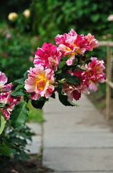 Similar image 196259