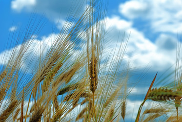 Similar image 196340