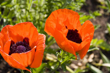 Similar image 196378