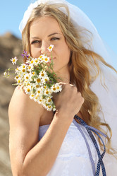 Similar image 196444