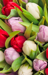 Similar image 196448