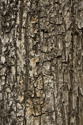 Similar image 196480